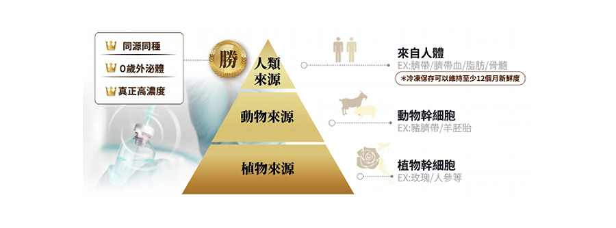 艾麗泌